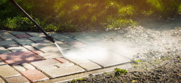 Best Animal Enclosure Cleaning  in Lifornia Polytechnic State University, CA